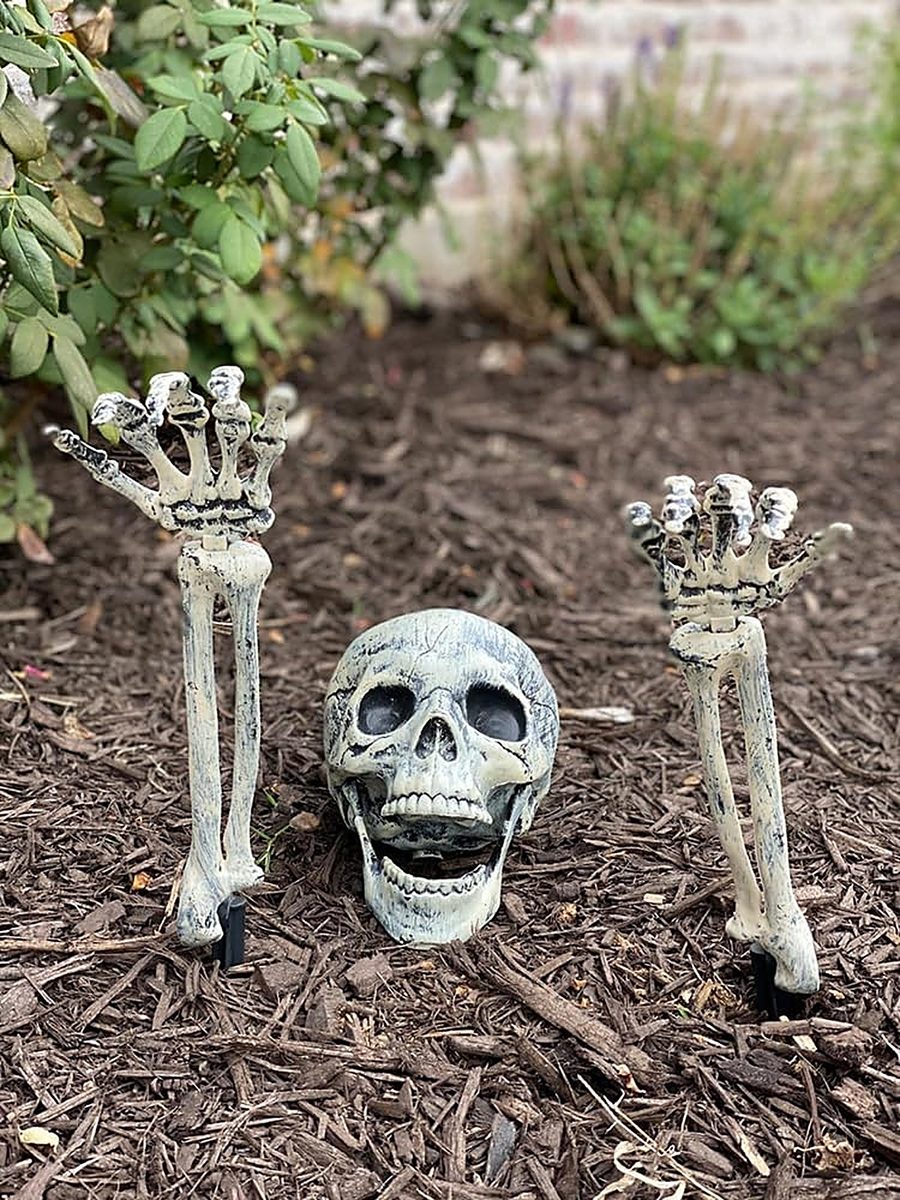 Skeleton Halloween yard display